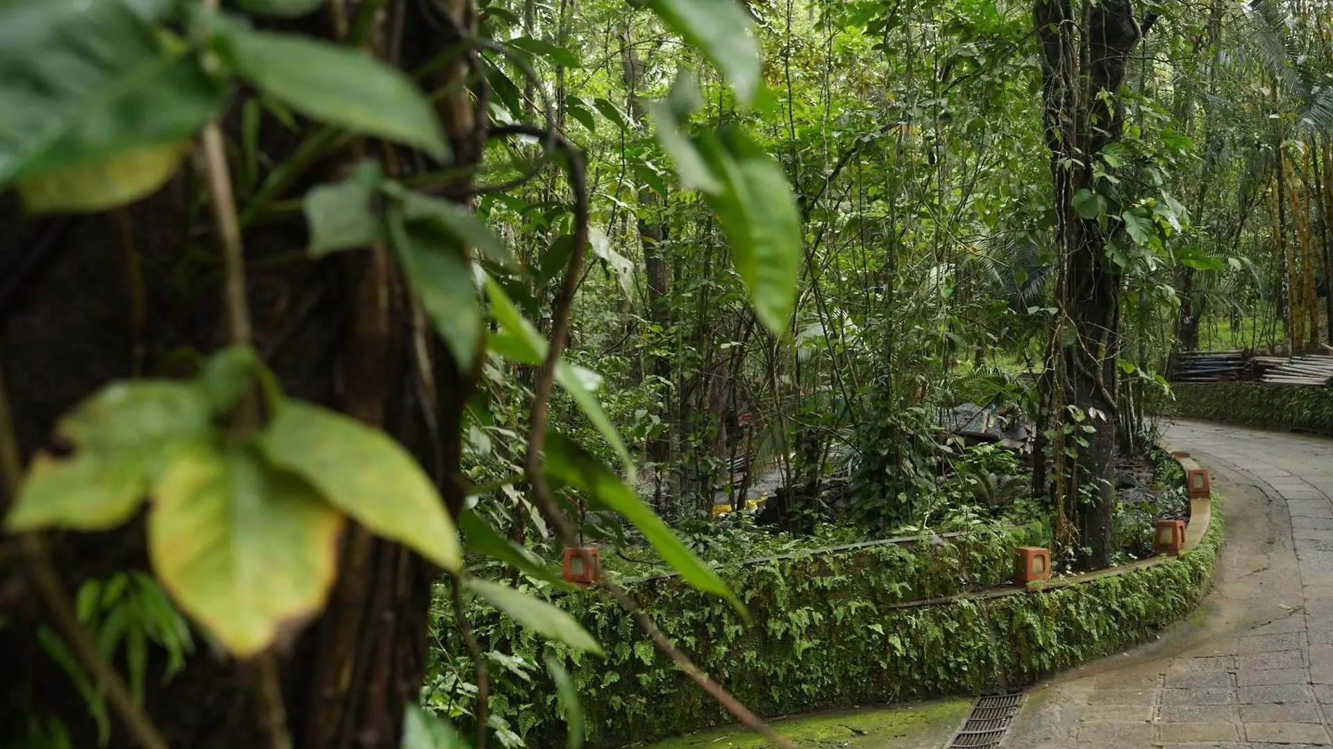 Wayanad Silverwoods Forest Resort & Spa Padinjarathara