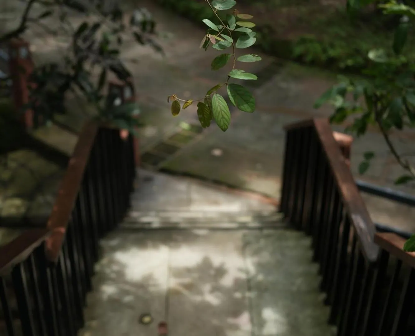 Wayanad Silverwoods Forest Resort & Spa Padinjarathara
