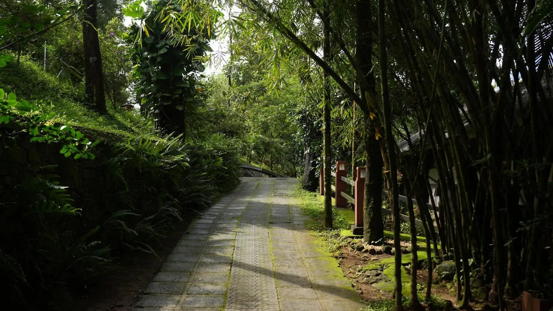 Wayanad Silverwoods Forest Resort & Spa Padinjarathara