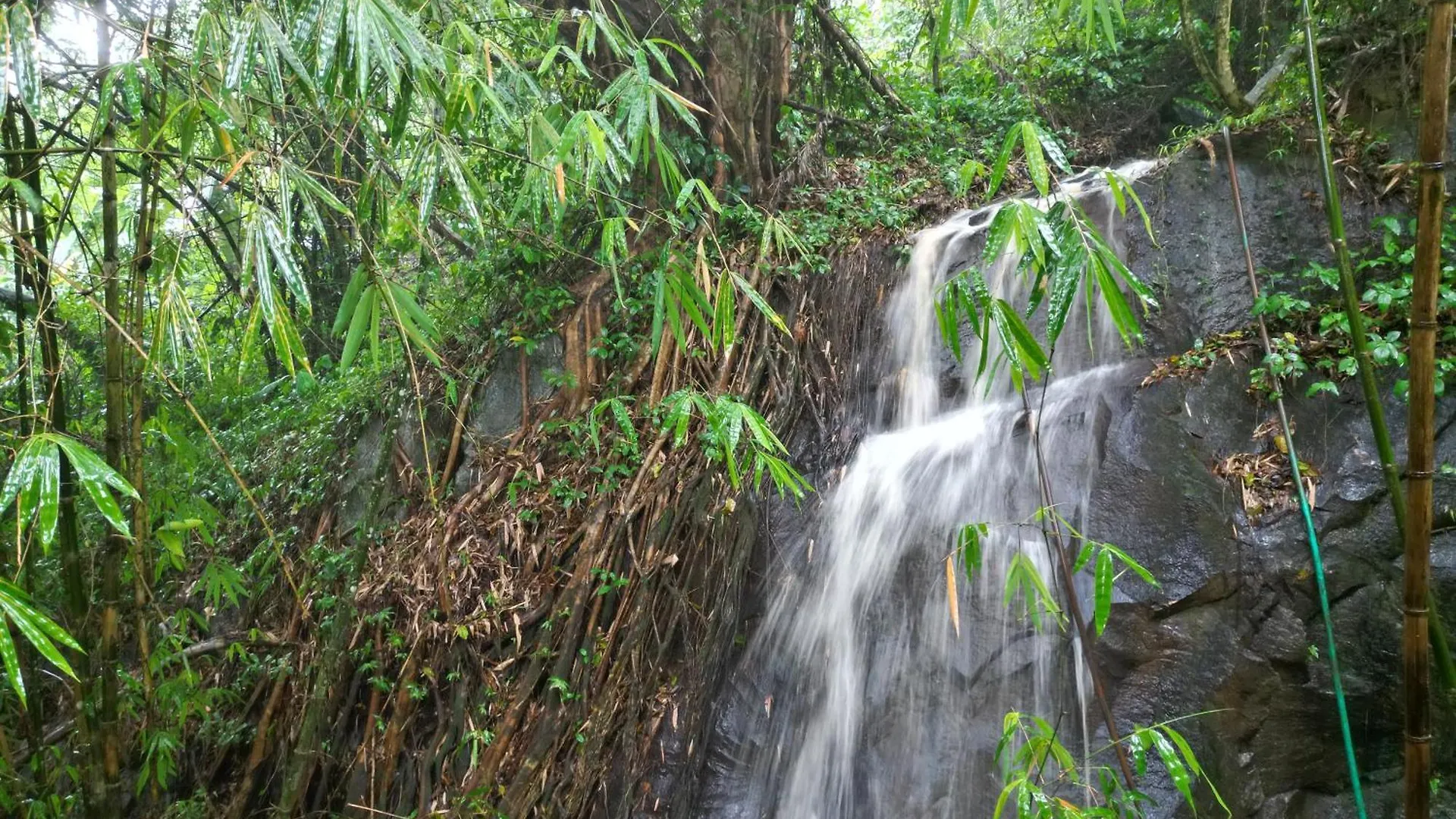Wayanad Silverwoods Forest Resort & Spa Padinjarathara